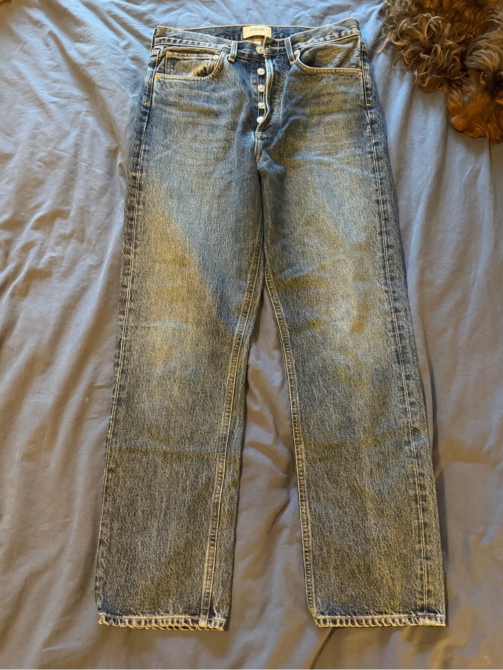 Agolde 90’s Mid Rise Loose Fit Jeans in Placebo - Picture 2 of 4